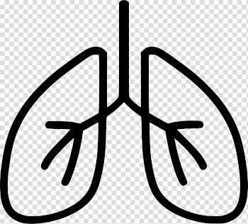 Lung Diaphragmatic breathing Exercise Respiratory system, Azven Breathe transparent background PNG clipart
