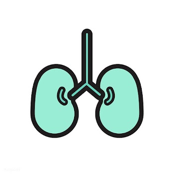 Lung medical care | Free stock vector - 395903