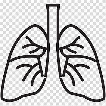 Lung Organ Computer Icons , Lung Best transparent background PNG clipart