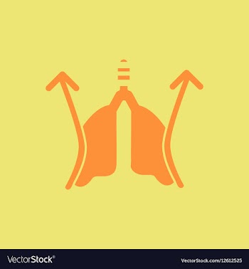 Lung pressure Cycle of breathing inspiration and vector image