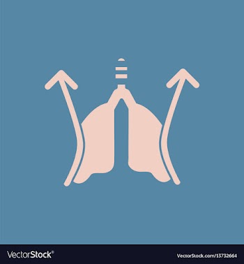 Lung pressure cycle of breathing inspiration and vector image