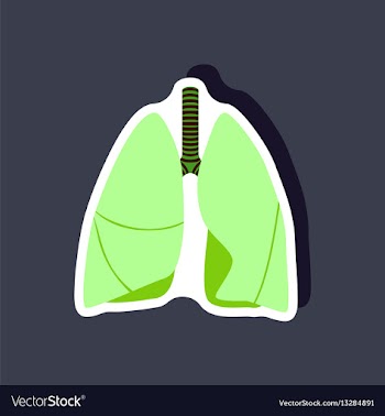 Lungs and trachea paper sticker on stylish vector image