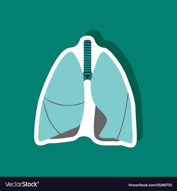 Lungs and trachea paper sticker on stylish vector image