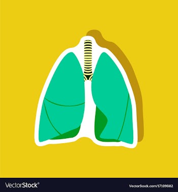 Lungs and trachea paper sticker on stylish vector image