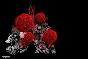 Lungs infected with coronavirus background | Free  illustration - 2316228
