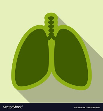 Lungs symbol breathing lunge exercise lung cancer vector image