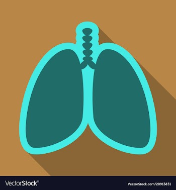 Lungs symbol breathing lunge exercise lung cancer vector image