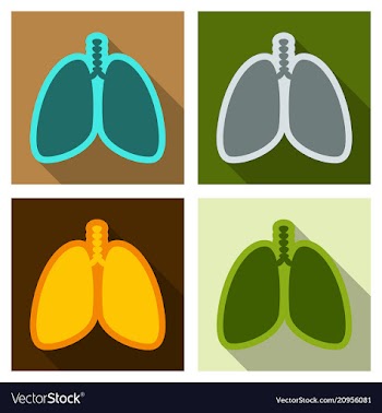 Lungs symbol breathing lunge exercise lung cancer vector image