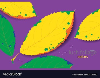 Lush foliage colors vector image