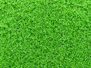 Lush Green Lawn Texture