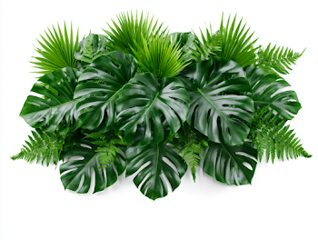 Lush Tropical Foliage Arrangement