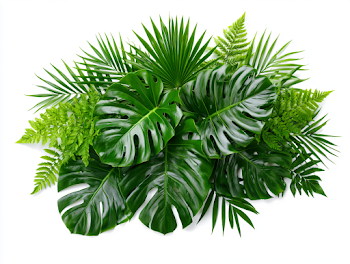 Lush Tropical Foliage Bouquet