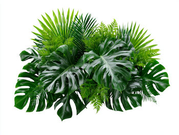 Lush Tropical Foliage Bouquet on White Background