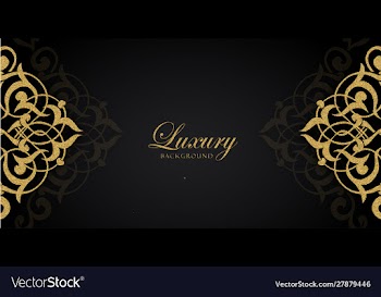 Luxury golden and black glitter backgrounds vector image