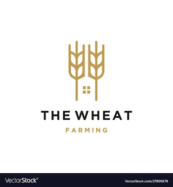 Luxury grain wheat farm logo design vector image
