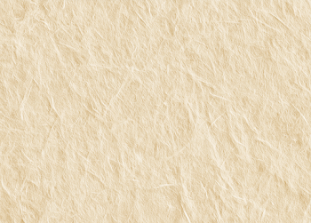 Luxury Handmade Japanese Washi Paper Texture