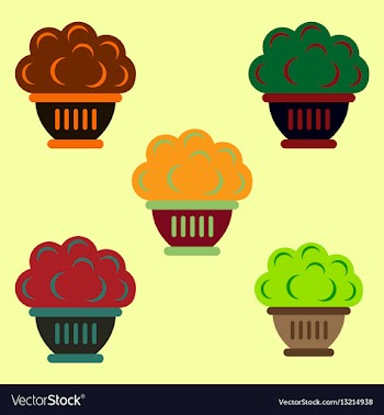 Luxury interior big plant in pot collection vector image