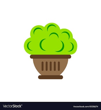 Luxury interior big plant in pot vector image