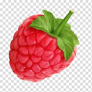 Lychee fruit, Large Raspberry transparent background PNG clipart