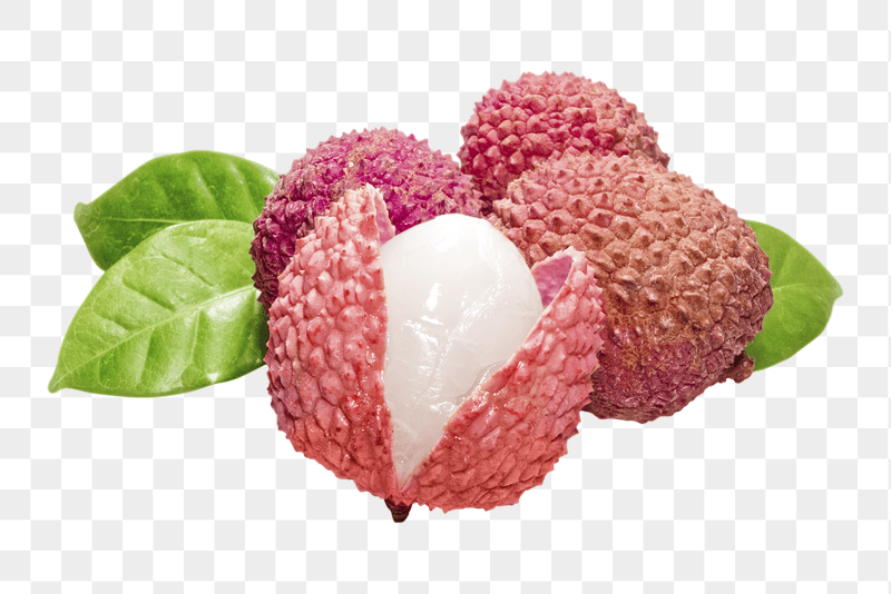 Lychee fruit png sticker, transparent | Free PNG - rawpixel