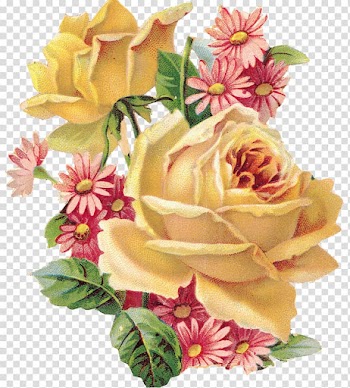Lydias Passion Amazon.com The Heart of an Agent Making Over Maggie Full-Color Fruits and Flowers Illustrations, Peony transparent background PNG clipart
