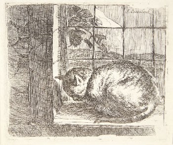 Lying cat in a window | Free Photo - rawpixel