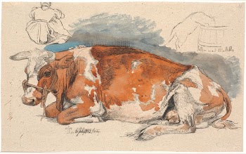 Lying cow.Above left, a seated | Free Photo - rawpixel