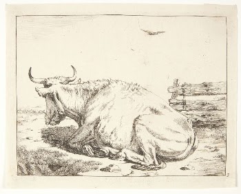 Lying cow by Marcus de | Free Photo - rawpixel