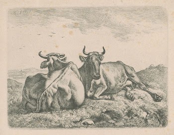 Lying cows | Free Photo - rawpixel