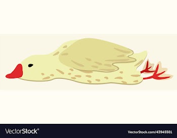 lying goose