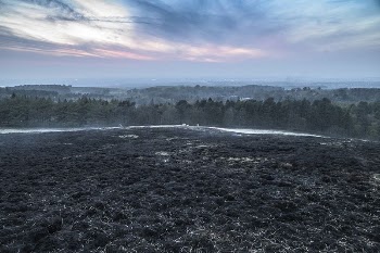 Lyme Park Fire. Original public | Free Photo - rawpixel