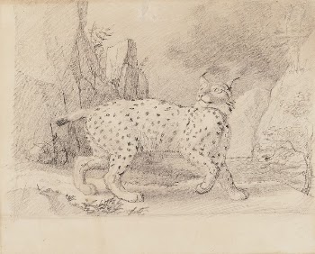 Lynx, 1830 - 1870, Wilhelm | Free Photo - rawpixel