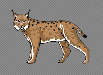 Lynx Transparent Images