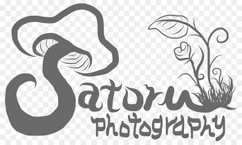 /m/02csf Calligraphy Drawing Illustration Clip art - balloonspng business 