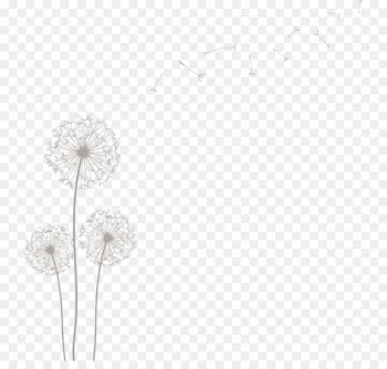 /m/02csf Desktop Wallpaper Drawing Flowering plant Dandelion - dendelion transparency and translucency 