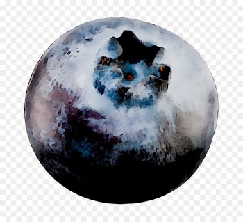 /m/02j71 Earth -  