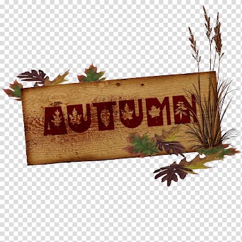 /m/083vt Cattle Drawing Rectangle Font, others transparent background PNG clipart
