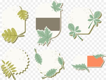 M 0d, Floral Design, Leaf, Plant PNG