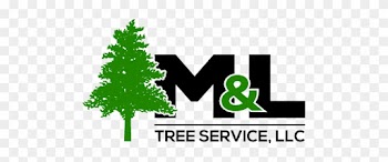 M &amp; L Tree Services - Tree Silhouette Clip Art