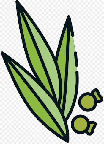 M Butterfly, Leaf, Tree, Plant PNG
