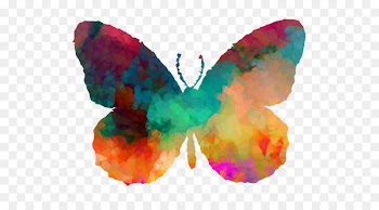 M. Butterfly Symmetry Orange S.A. Moth -  