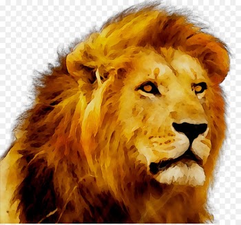 Maasai Mara Killing of Cecil the lion Mara Serena Airport Safari -  