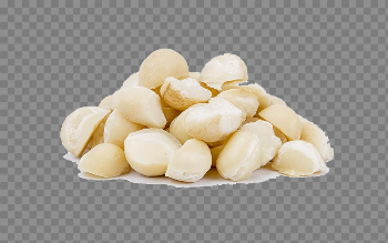 Macadamia Nuts PNG Download Image
