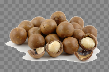 Macadamia Nuts PNG Free Download
