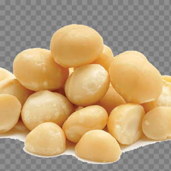 Macadamia Nuts PNG Pic