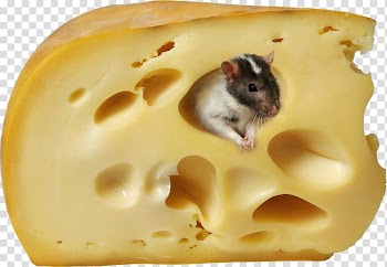 Macaroni and cheese Milk Cheese sandwich , Cheese transparent background PNG clipart