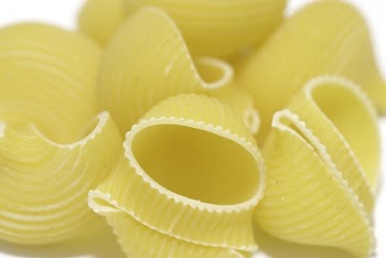 Macaroni Pasta