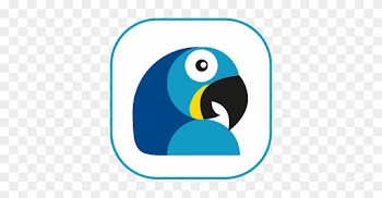 Macaw - Aero - Food Components