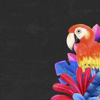 Macaw bird background, black design, | Free Photo Illustration - rawpixel