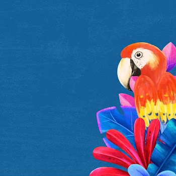 Macaw bird border background, blue | Free Photo Illustration - rawpixel